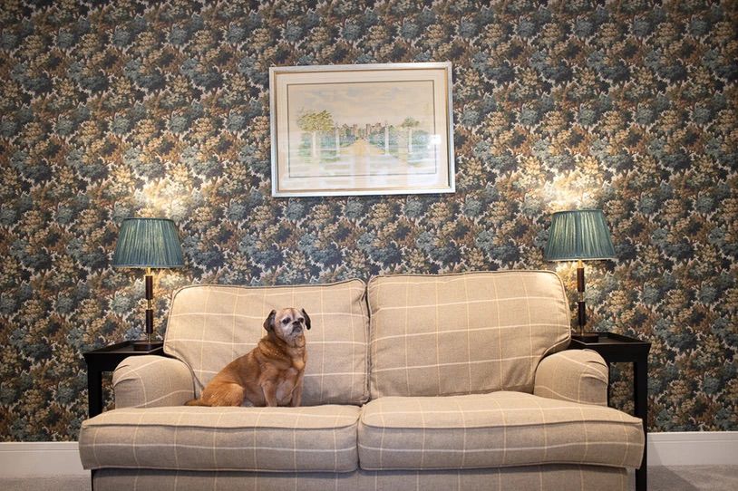 Interior painting and decorating